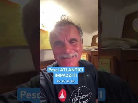 Finalmente la mia prima pescata in apnea in atlantico! Pieni di Lecce, saraghi,cernie...#barcaavela