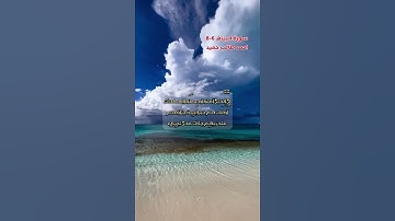 اخر سورة البينه الآية 6-8