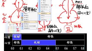 5 2 3心動週期、心音、心電圖簡介三敏