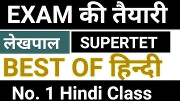 SUPER TET HINDI CLASS | SUPER TET HINDI PRACTICE SET | HINDI IMPORTANT QUESTIONS | MS SSC NOTES