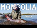 Fly fishing mongolia taimen  the worlds largest salmonid