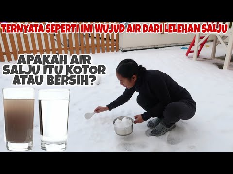 Video: Ada Berapa Jenis Salju?