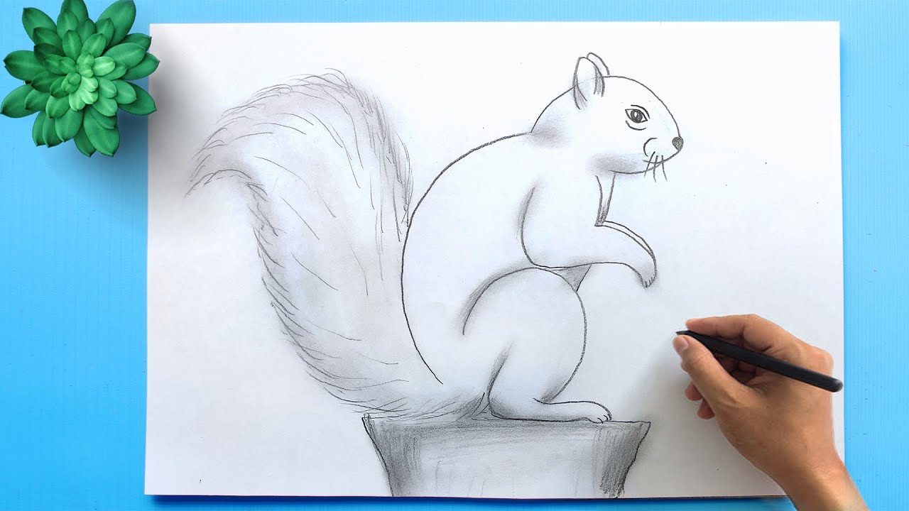 Squirrel Drawing - How To Draw A Squirrel Step By Step