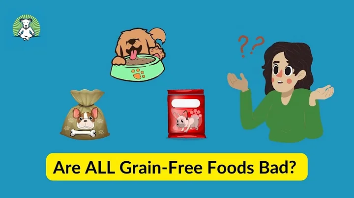 Are ALL Grain-Free Foods Bad? | Pet Nutritionist Explains Grain-Free vs Grain Inclusive Pet Foods