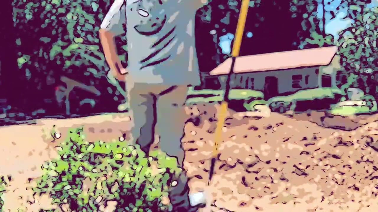 All Videos