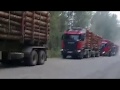 Граждане СССР останавливают грабёж Родины  Вырубка леса