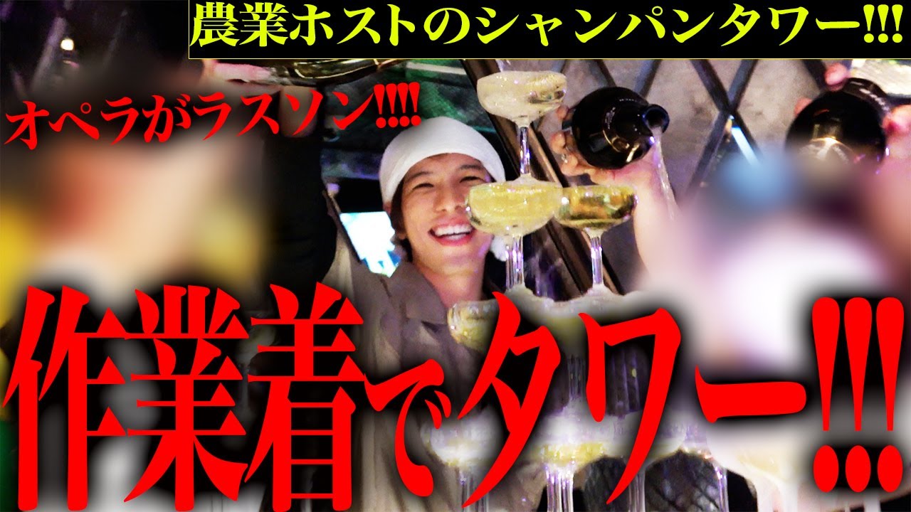 【密着】農業ホスト!?フードは育てたお米!!!太陽BDイベントに密着!!!