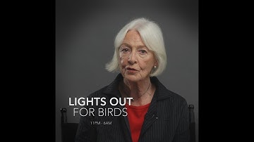 Jane Alexander - Lights Out for Birds