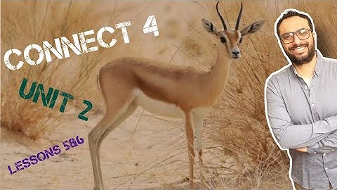 شرح كونكت 4 للصف الرابع |  الترم الأول الوحدة الثانية الدرسين الخامس و السادس  | Connect 4 Unit 2