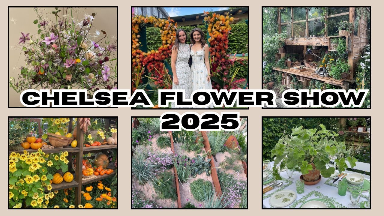 🌸 What We Loved at The Chelsea Flower Show 2025 | Best Garden Designer Ideas!