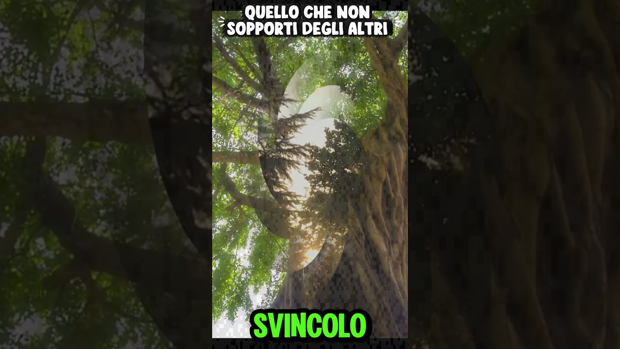 QUELLO CHE NON SOPPORTI NEGLI ALTRI!