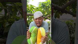 Iii uuu iii yaaaa #shorts #funny #comedy #cutebaby #subscribe #trending Iii uuu iii yaaaa #shorts #funny #comedy #cutebaby #subscribe #trending