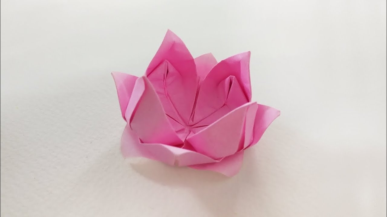 Origami lotus พับดอกบัวแสนสวย