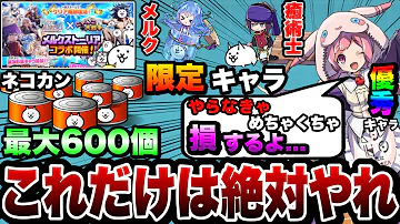 にゃんこ 癒術士 にゃんこ 癒術士