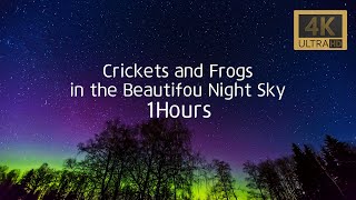 Crickets and Frogs in the Beautiful Night Sky. 1Hours by EXPAND ASMR 62 views 1 month ago 1 hour