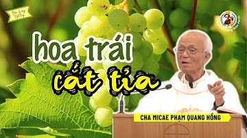 Hoa trái khi chấp nhận bị cắt tỉa 🙏 Cha Phạm Quang Hồng CN5PSB - 28/04/2024