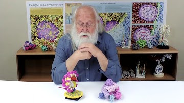 The Science of Coronaviruses: Introduction