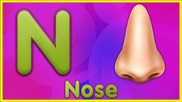 Letter N | Nose, Nest, Nuts, Newt - Learn Letter N