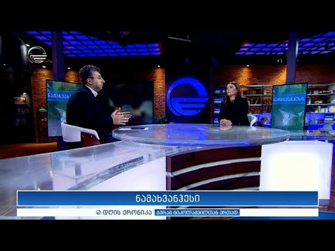 დღის ქრონიკა - 29 იანვარი, 2021 წელი