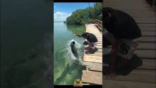 Fish Had Other Plans #shorts #fishing #funnyfails #funnymoments #outdoorfails