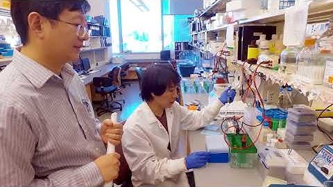 Wenyi Wei, PhD, Biochemistry