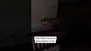 A Lion Sized Warning