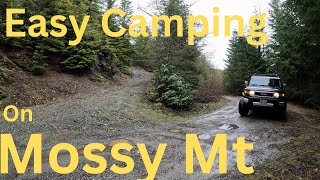 Oh to camp on, Mossy Mt.