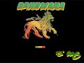 Gondwana mix100lo mejor