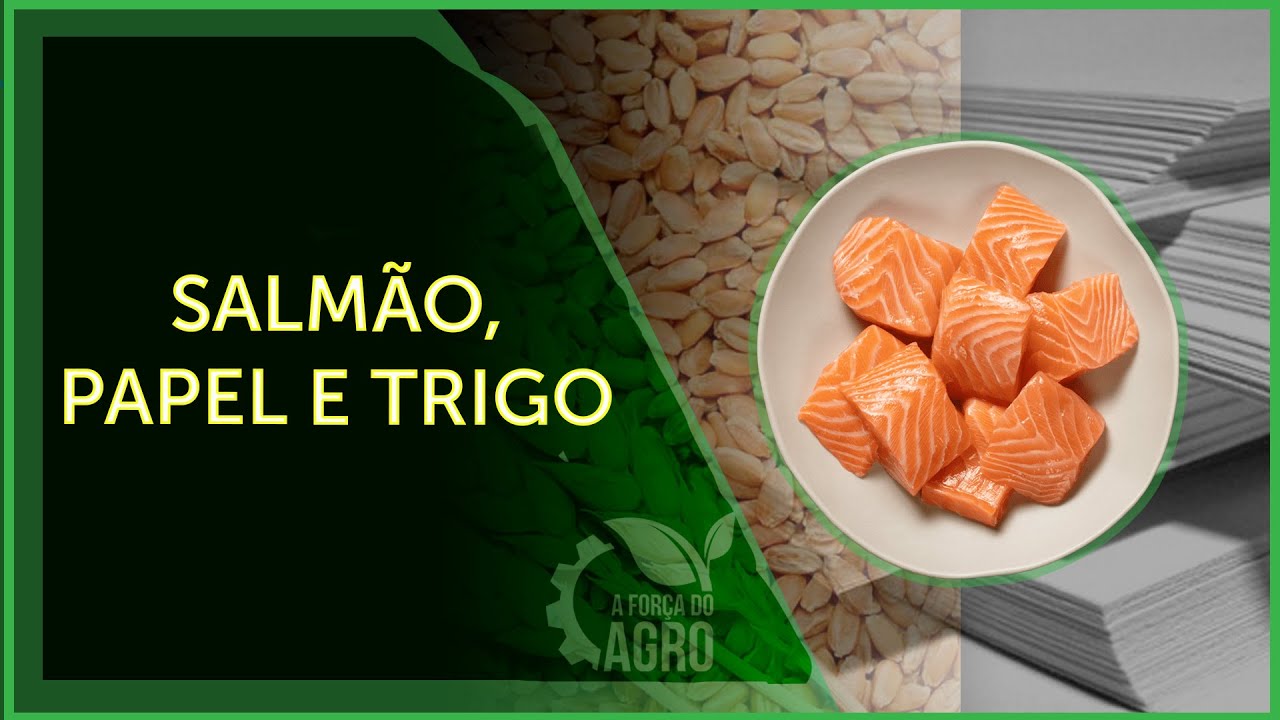 Principais produtos importados pelo estado de São Paulo