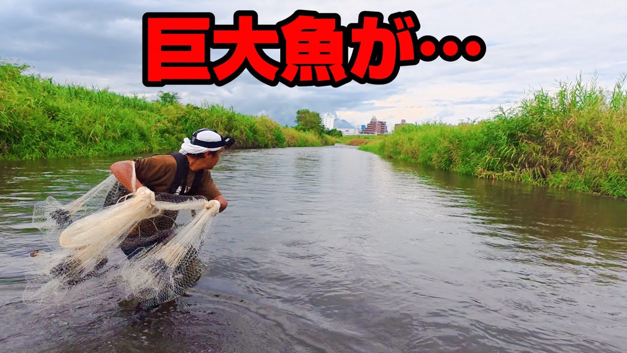 街を流れる激濁りの川で高級魚を狙う！そして巨大な外道と遭遇！