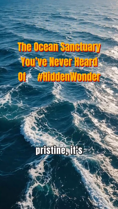 The Ocean Sanctuary You’ve Never Heard Of 🌊🇵🇭 #HiddenWonder