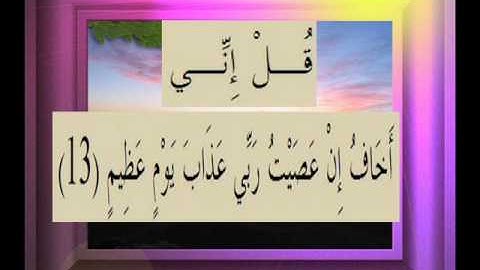 القرآن الكريم سورة الزمر الاية 13