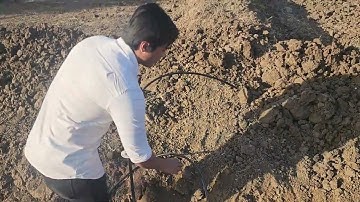 Drip irrigation layout for avocado farming in India | 6268643227 Vlog 64