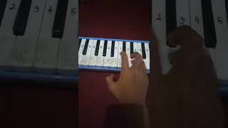 Basuri Modul Dav Al Air Horn  Telolet Pianikamania