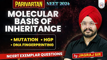 MOLECULAR BASIS OF INHERITANCE CLASS 12   MUTATION, HGP, DNA FINGERPRINTING NEET 2024 BY JAGRAJ SIR