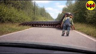 What They Captured in Latin America Shocked the World