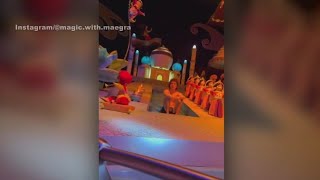 Alleged Disneyland streaker shocks families at \