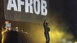 Afrob - Get up (live @ Absolute Beginner Open Air 2018 - Hamburg) HD