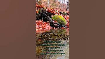 {إن الله وملائكته يصلون على النبي} | القارئ الشيخ ماهر المعيقلي