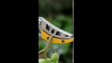 Kéo cắt cành cây, hái quả trên cao