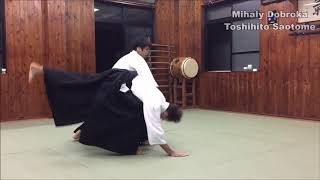 Aikido Special Techniques Compilation