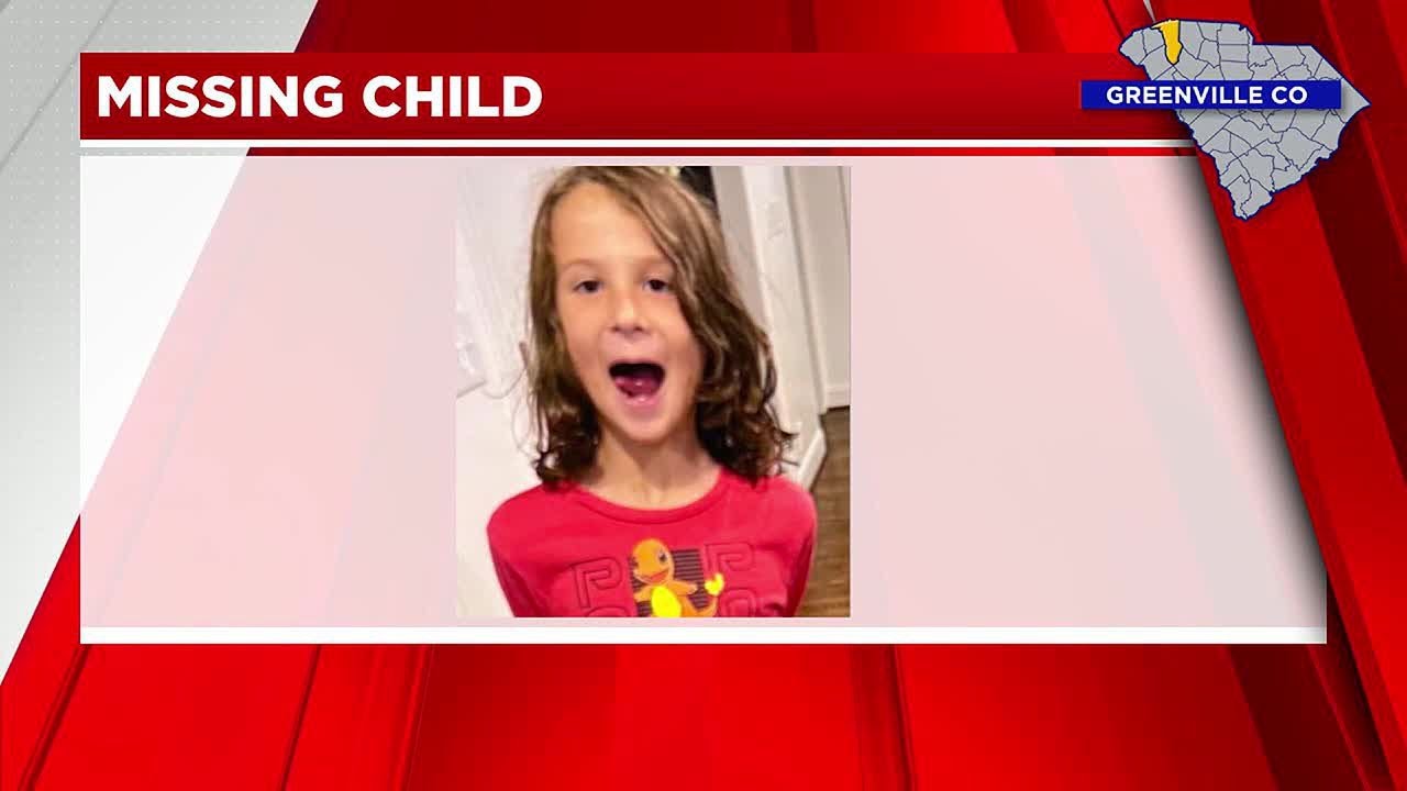 Search underway for missing boy seen going into woods in Greenville ...