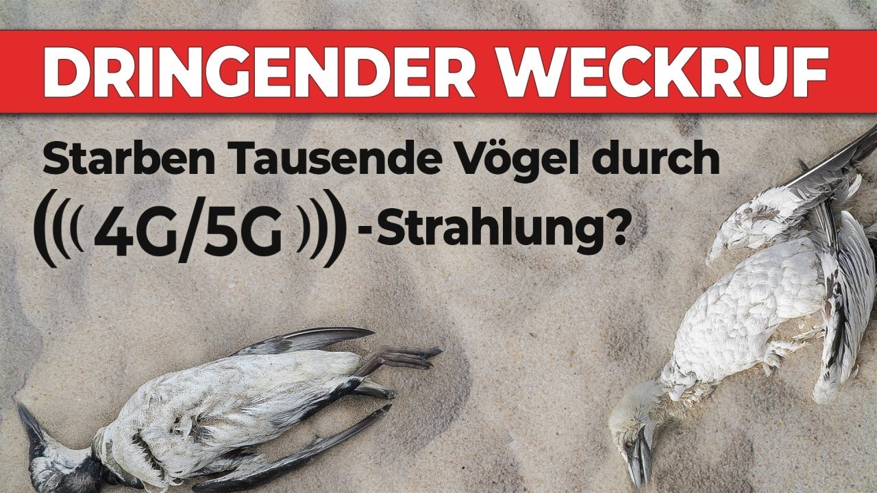 tagesthemen 21:45 Uhr, 02.09.2022