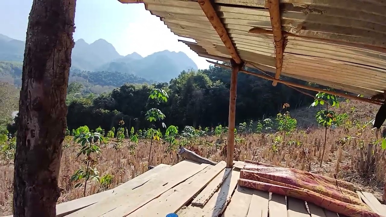 Nkauj nog lub neej ntsuag 