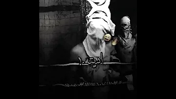 مغامر من عزبة سكينة 