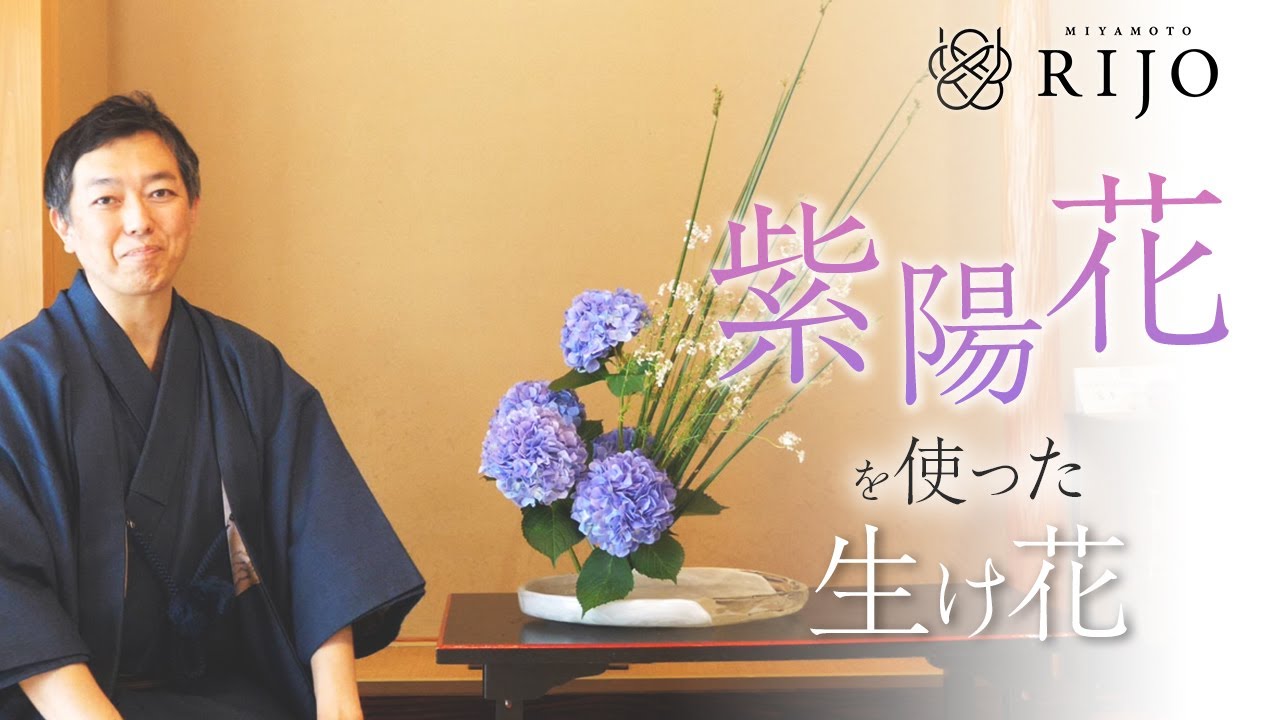 コリアンダー？！パクチー？！の花を合わせて生けてみました！華道家・宮本理城の生け花レッスン～青い大きな紫陽花を使った生け花をご紹介します～【Ikebana】