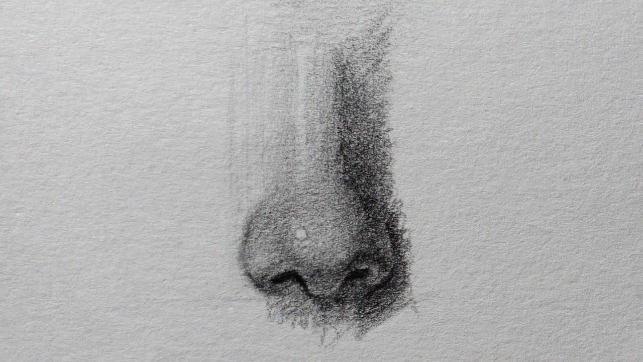 How to draw realistic nose step by step | nose drawing tutorial - YouTube