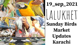 Lalukhet Sunday Birds Market latest update 19-9-21 | Birdlife pakistan