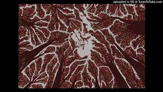 Trash Boat - Crown Shyness (Lyrics In Description)