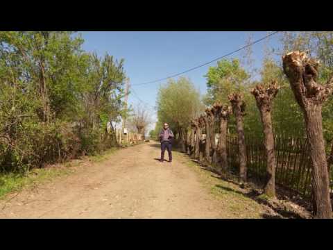 ეთნოფორი • etnopori (ანონსი/გადაცემა ოთხმოცდამეთხუთმეტე) 27.04.2017წ.